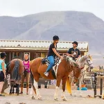 Origo Mare 1236 In Majanicho Lajares