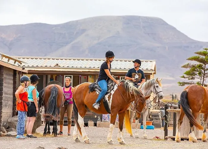 Origo Mare 1236 In Majanicho Lajares