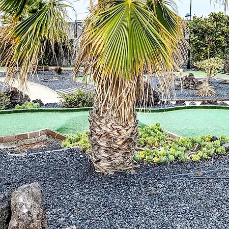 Origo Mare 1236 In Majanicho *