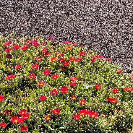 Villa Origo Mare 1236 In Majanicho Lajares