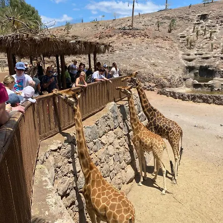 Origo Mare 1236 In Majanicho Villa *