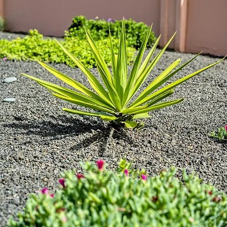 Villa Origo Mare 1236 In Majanicho