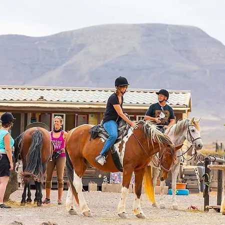 Origo Mare 1236 In Majanicho Lajares