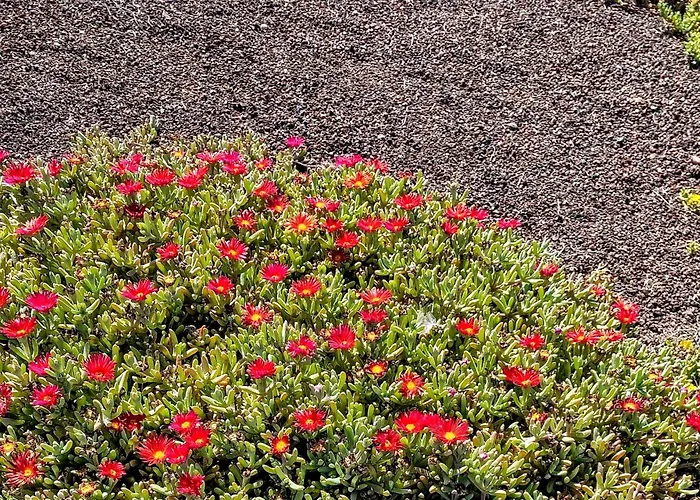 Villa Origo Mare 1236 In Majanicho Lajares