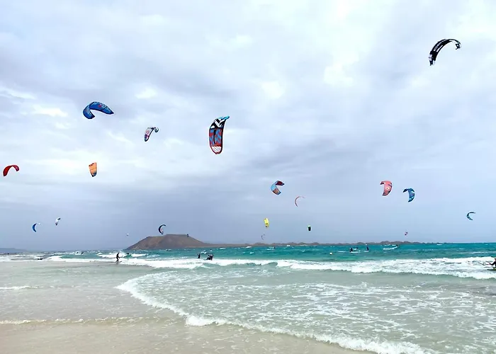 Origo Mare 1236 In Majanicho