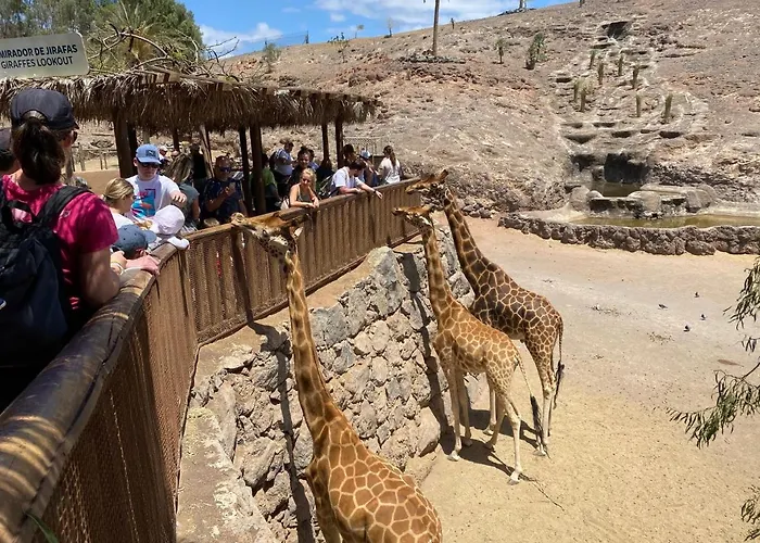 Origo Mare 1236 In Majanicho Villa *