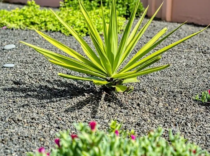 Villa Origo Mare 1236 In Majanicho