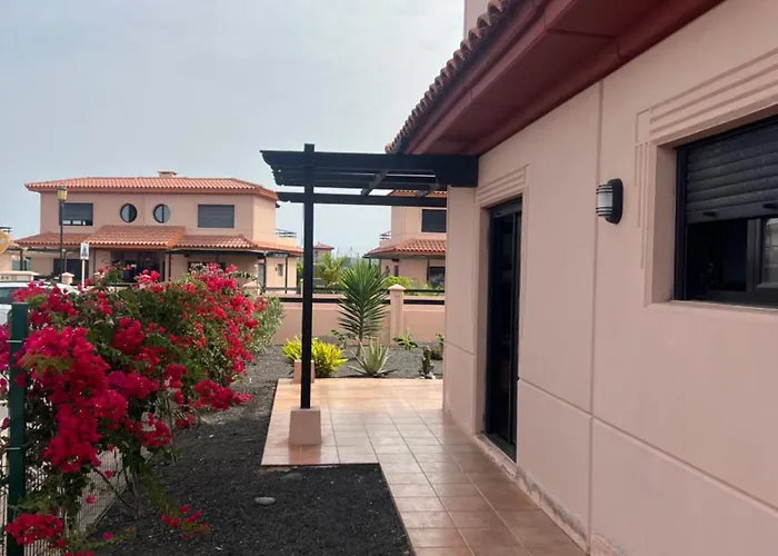 Origo Mare 1236 In Majanicho *